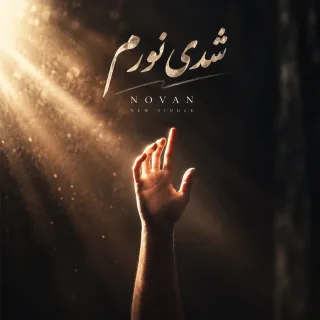 شدی نورم