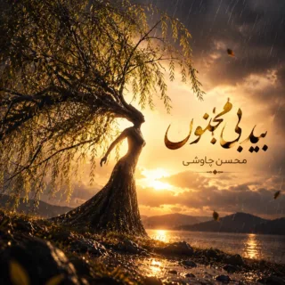 بید بی مجنون